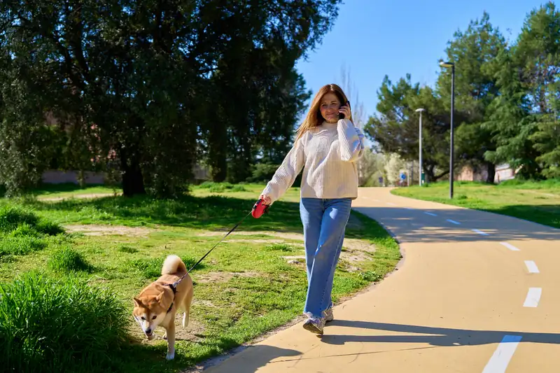Frau telefoniert beim Spaziergang mit ihrem Hund im Park